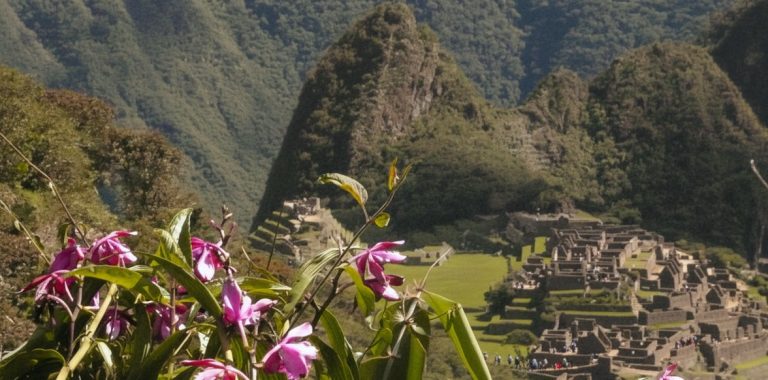 21-Day Peru Tour